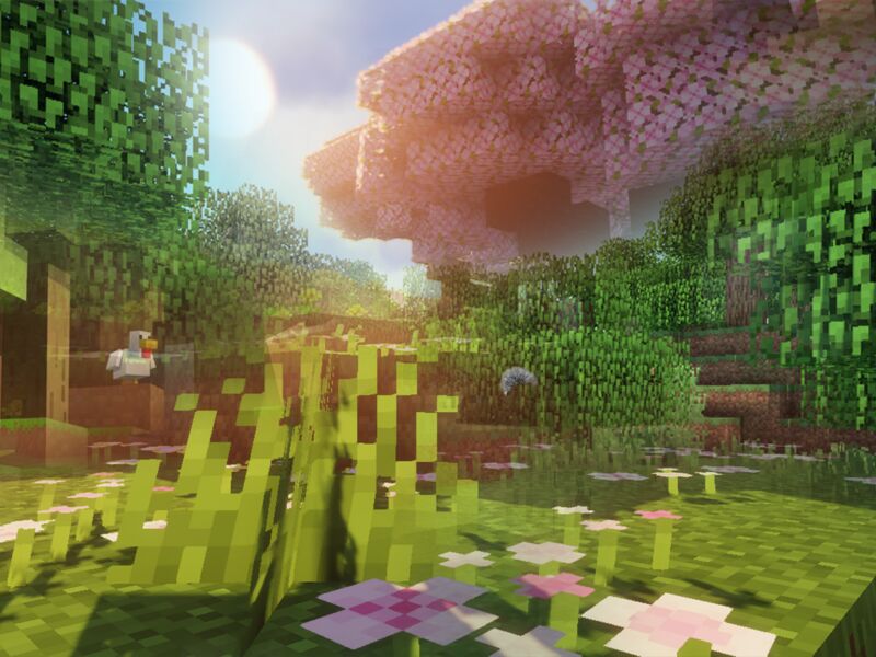 Suisseing Header V2